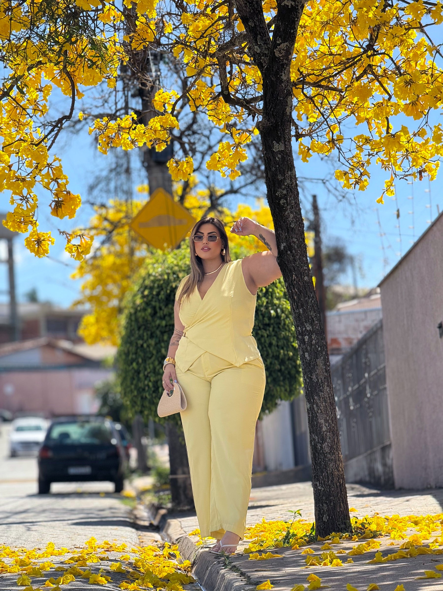 Calça Pantalona - Emanuella